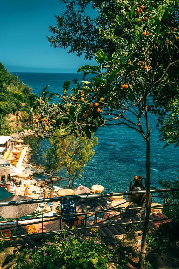 O' Vagnitiello - Parco Balneare Idroterapico - Camere - Ristorante カザミッチョラ・テルメ エクステリア 写真